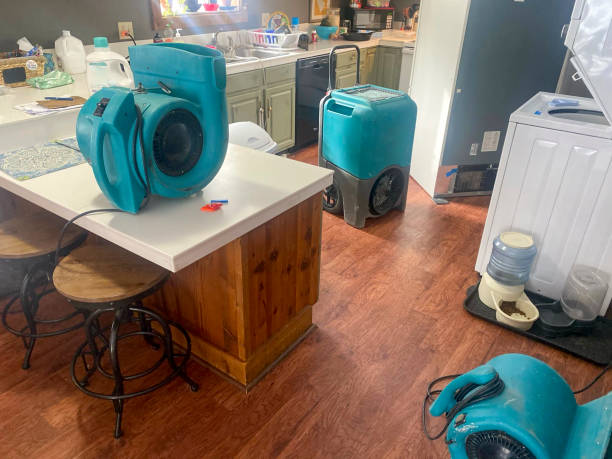 Best Flooded house restoration  in West Easton, PA