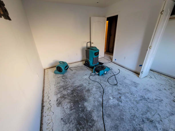 Best Water damage mitigation services  in West Easton, PA