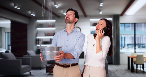 Best Water damage repair service  in West Easton, PA