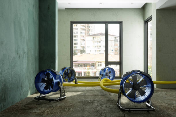 Best Local water damage restoration  in West Easton, PA