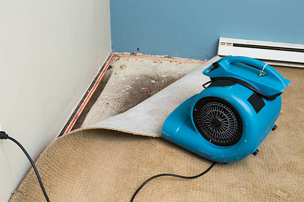 Best Basement water damage restoration  in West Easton, PA